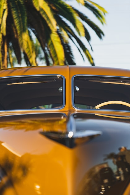 The Importance of Car Insurance in Florida